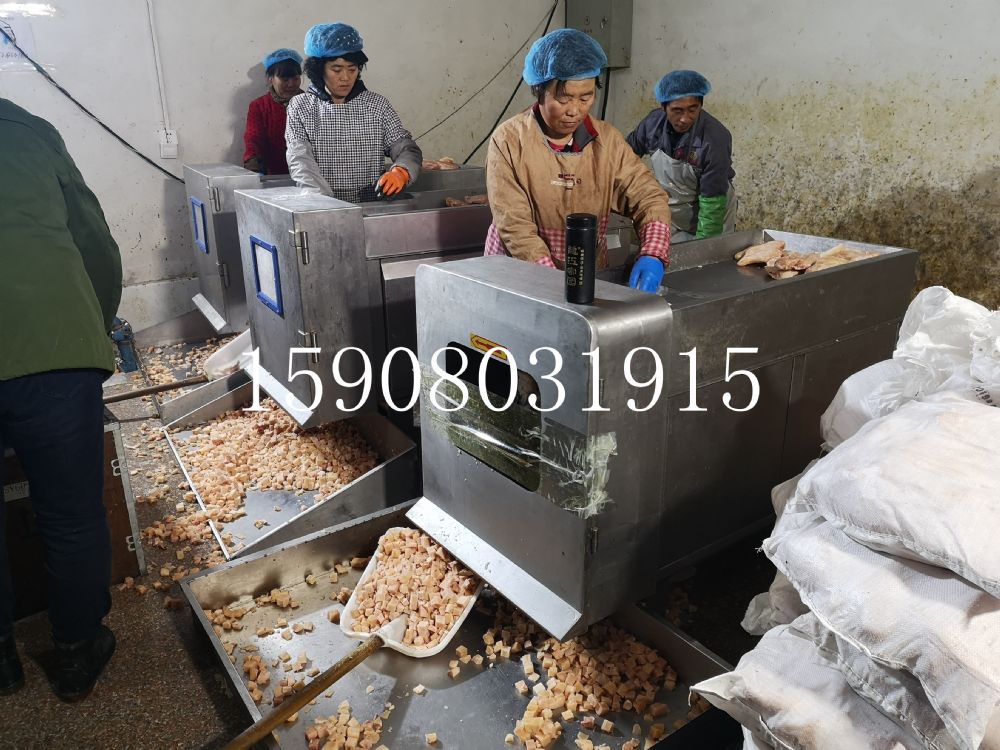 大型全自动冻肉鲜肉切丁机 350型果蔬切丁机
